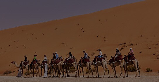 Global Leadership Team